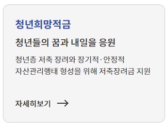 저신용자 정부지원 대출