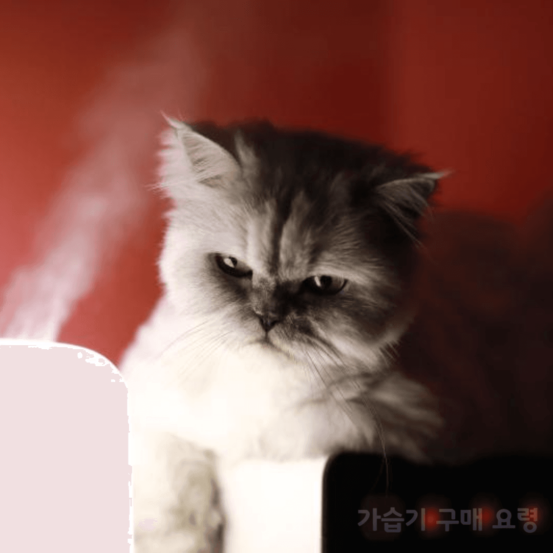 가습기 구매요령
