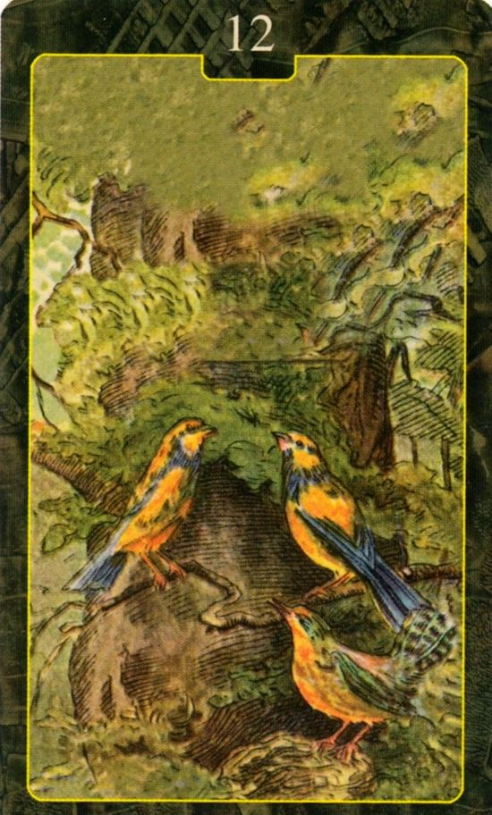  [레노먼드카드배우기]12.Birds 새 해석 및 의미