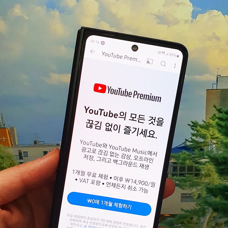 Premium-가격