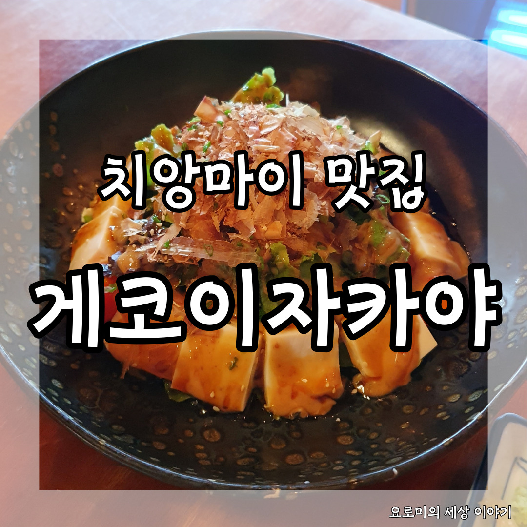  치앙마이 게코 이자카야 두부샐러드  Chiangmai Gekko Izakaya