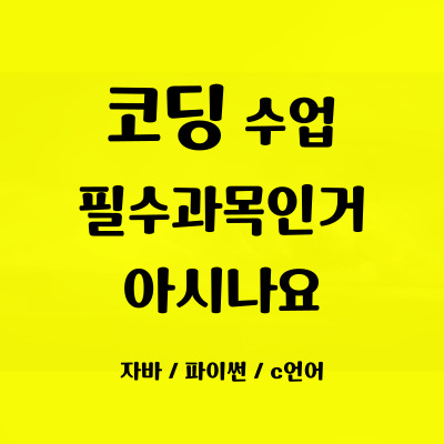  풍산동 초등 코딩학원 덕풍동 중등 코딩과외 일대일 사고력 자바스크립트 파이썬 필수과목 코딩 배우기