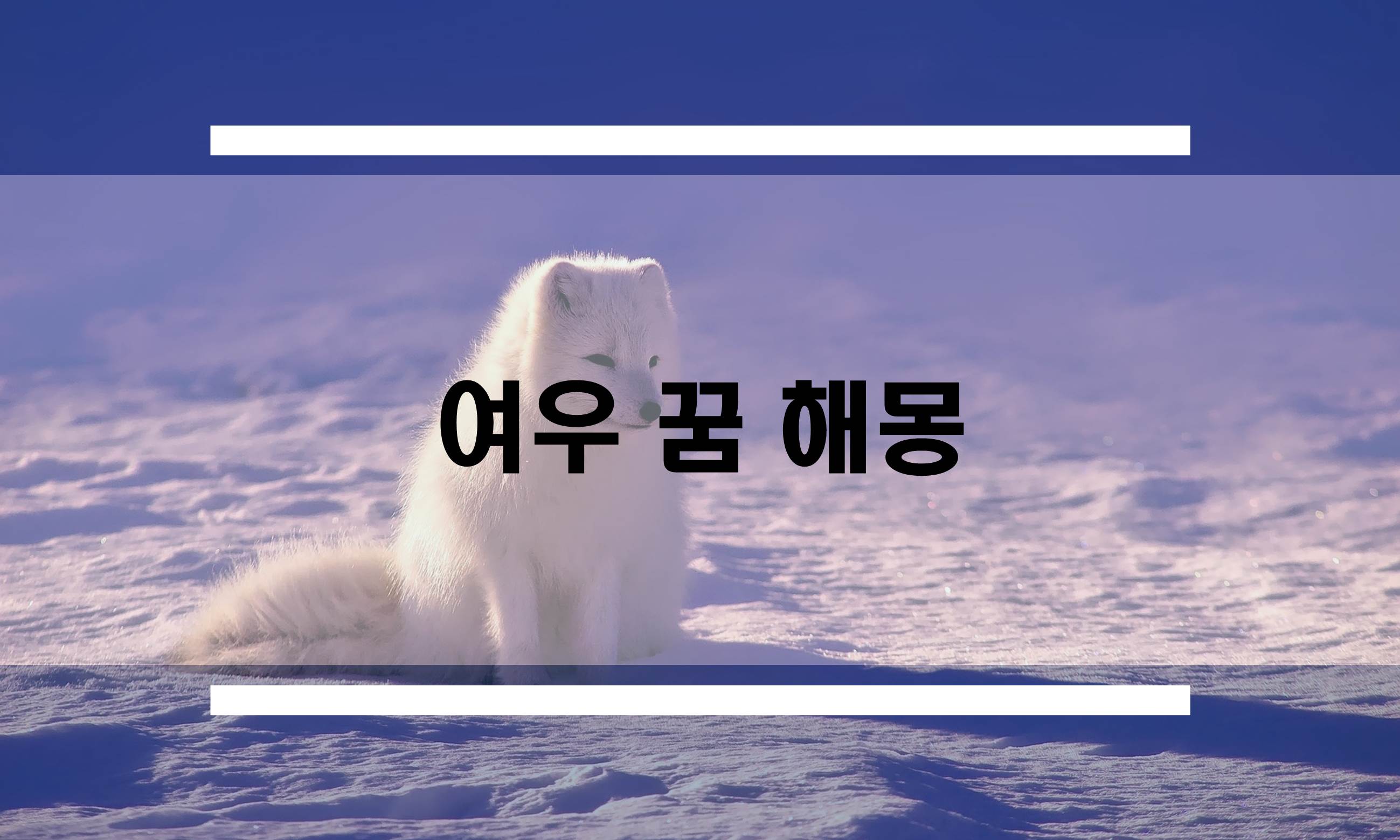  여우꿈 해몽 모음