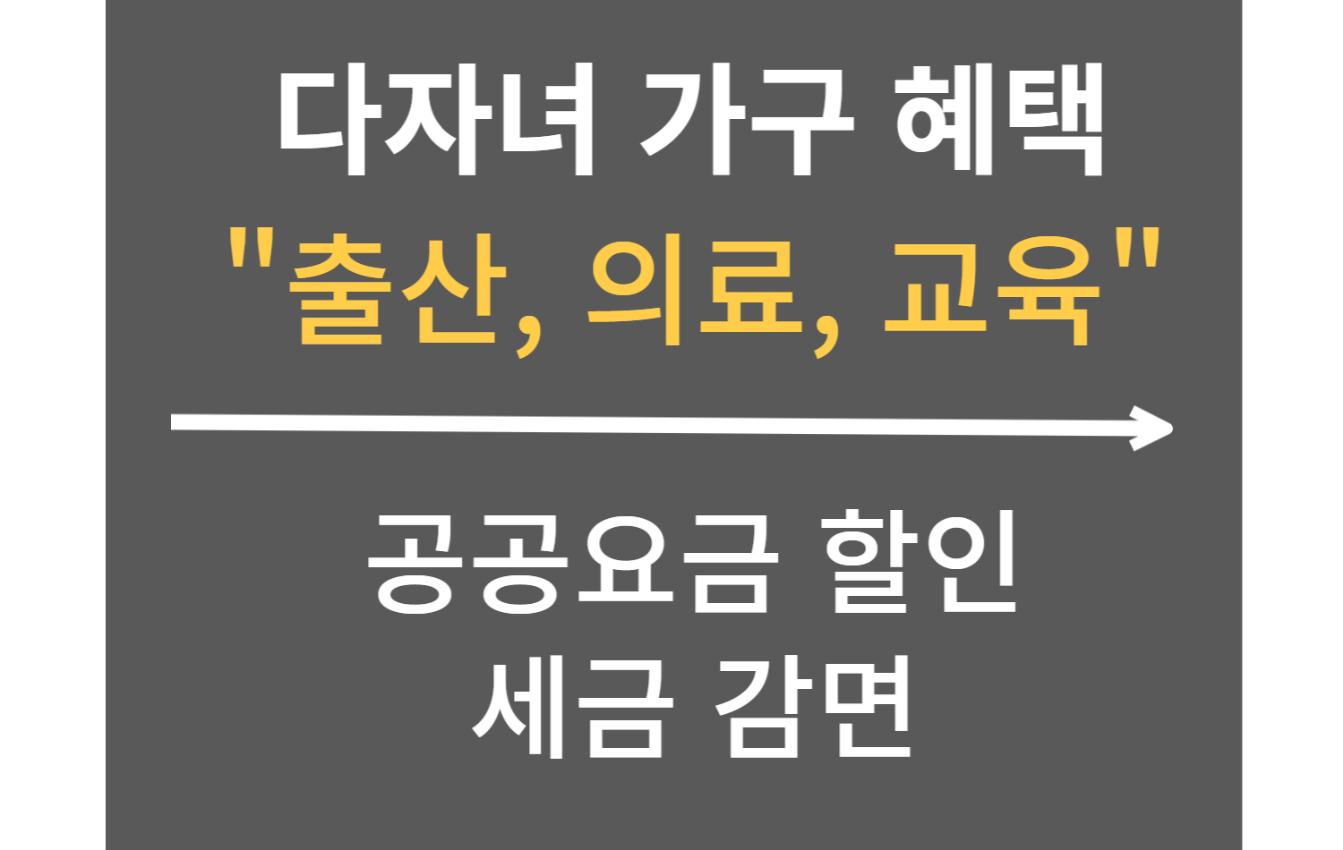  다자녀 가구 지원 출산 및 의료 양육 교육 공공요금 감면 혜택
