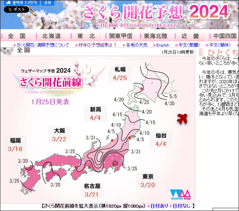 2024년 일본 벚꽃 개화시기