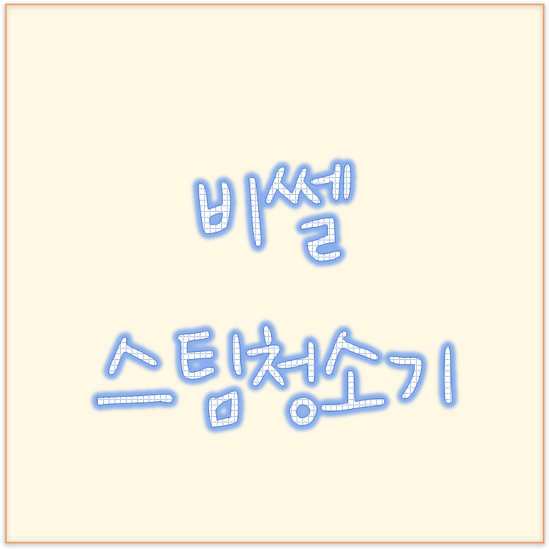  99.99% 살균효과 고압스팀청소기, 비쎌 스팀청소기