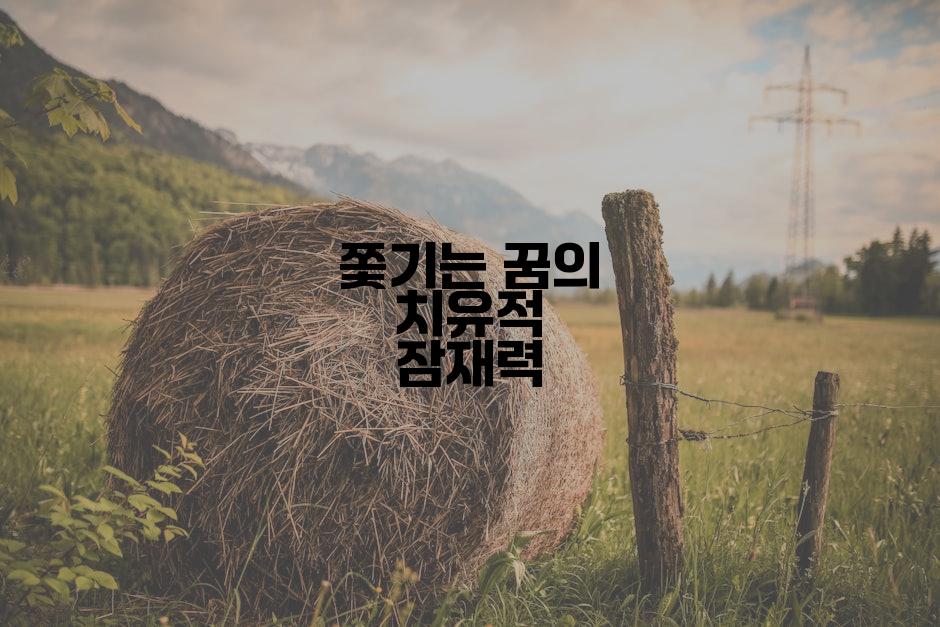 쫓기는 꿈의 치유적 잠재력