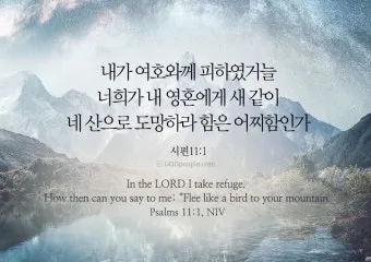 시편 1장 3절 묵상 - 그는 시냇가에 심은 나무가 철을 따라 열매를 맺으며_5