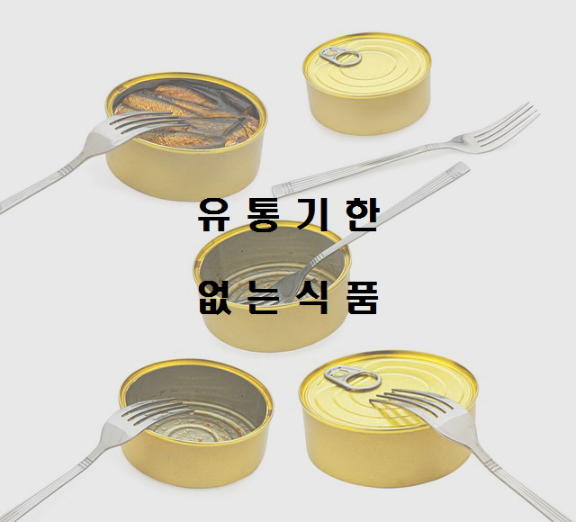  노다지네 잡학다식