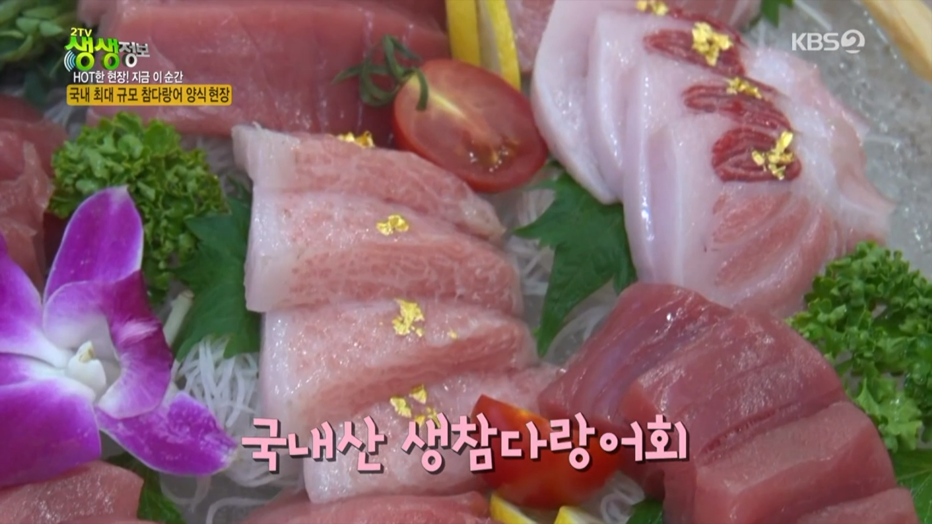 통영문참치 이미지