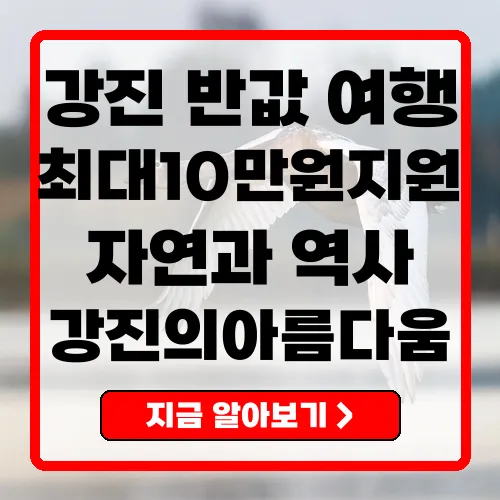 강진 반값여행