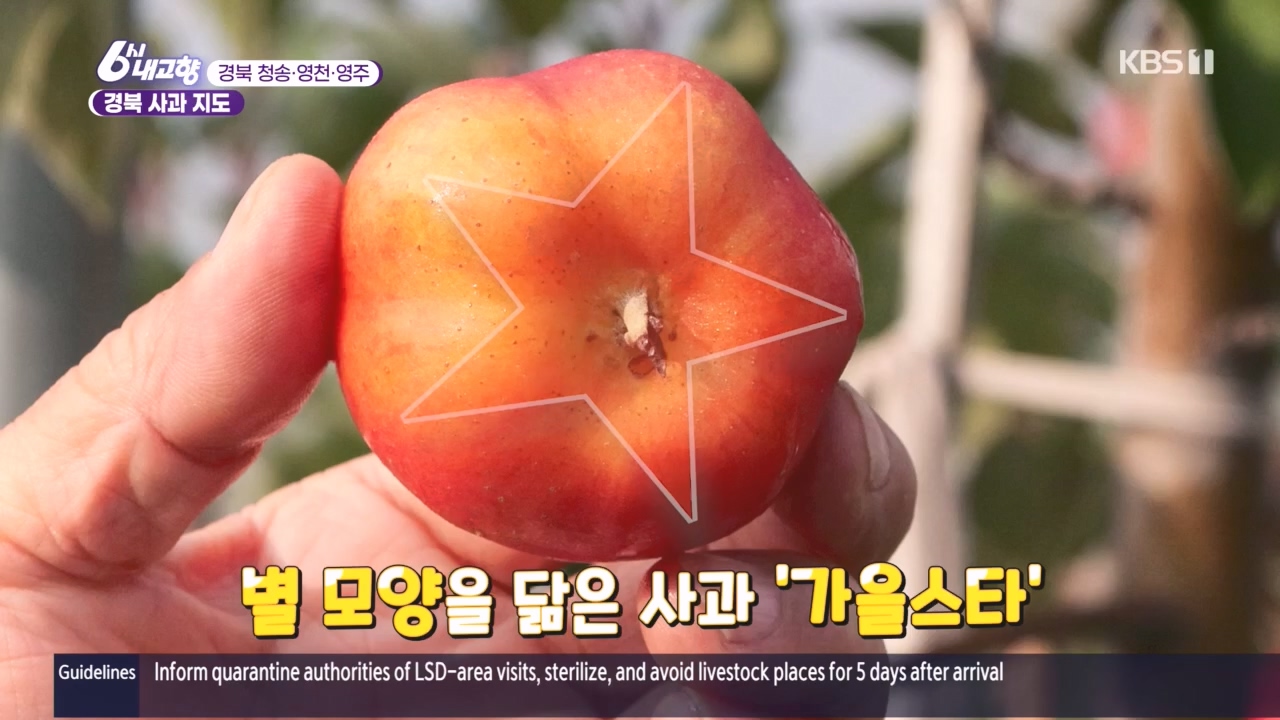 6시 내고향.E7907.231108p.H264-F1RST.mp4_20231108_204728.852.jpg