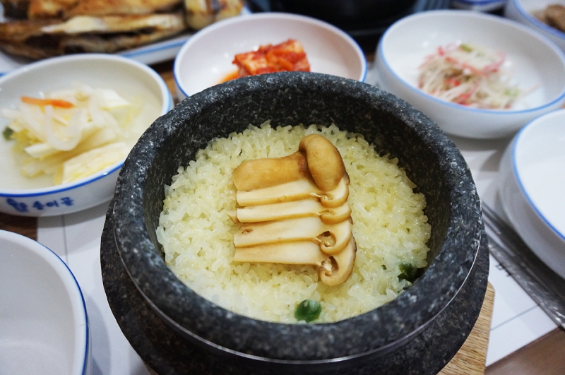송이골 전경