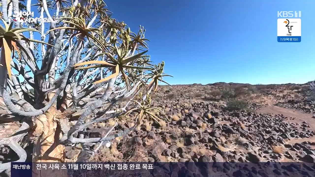 걸어서 세계속으로.E816.231105p-NEXT.mp4_20231104_175449.730.jpg