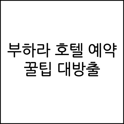 우즈베키스탄 부하라 여행 호텔 예약 
