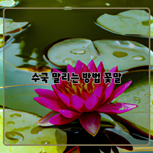  아름다운 수국, 잘 마르게 하는 방법