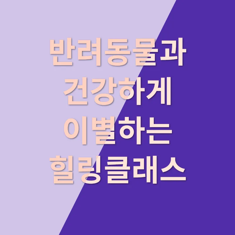 반려동물 추모_3