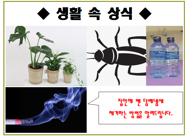 봄철 화분의 벌레 막기&#44; 집안에 밴 담배냄새 제거하기&#44; 몸이 부울 때에는 물을 마시세요.