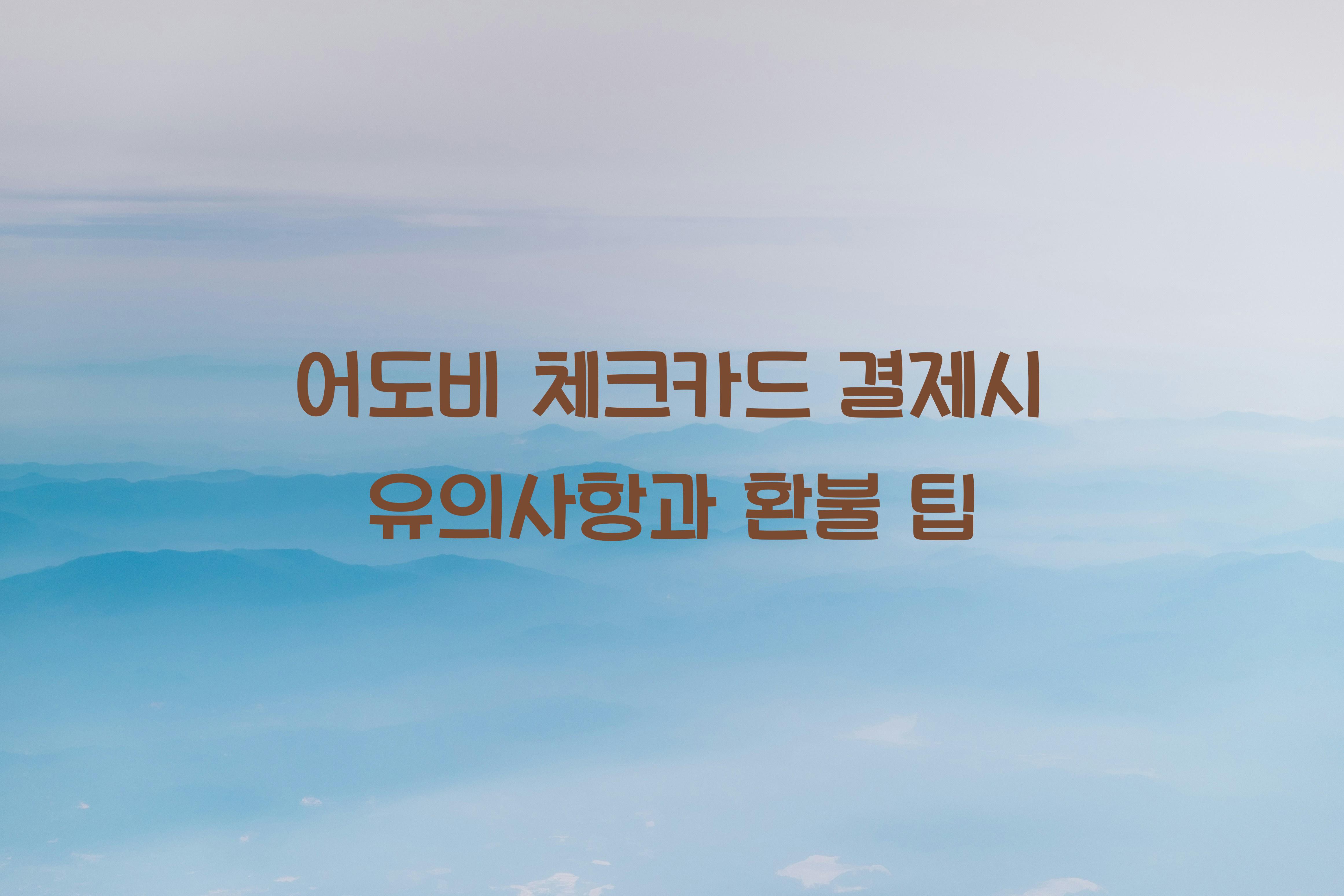 어도비 체크카드 결제