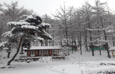 양평 설매재 자연휴양림 예약 방법 완전 정복! 실시간 예약부터 이용 팁까지