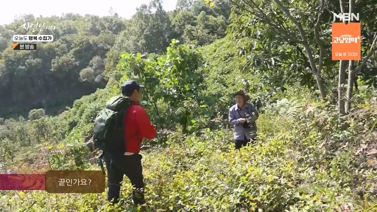 나는 자연인이다.E578.231102p-NEXT.mp4_20231102_202928.039.jpg