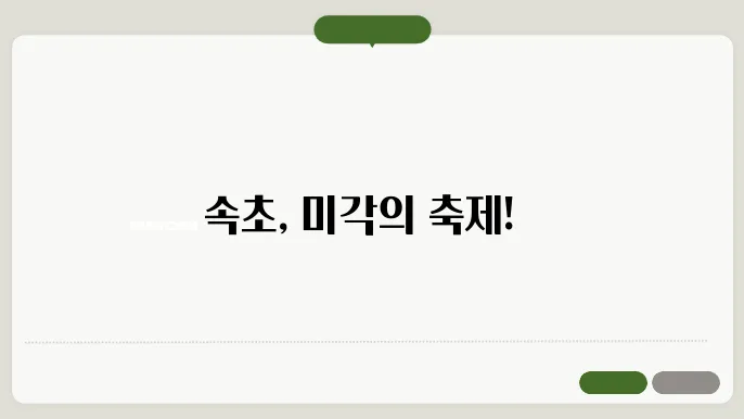 속초 맛집 베스트10