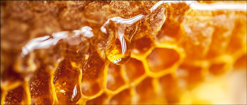 꿀의 유통기한 꿀 떨어지는 모습 이미지