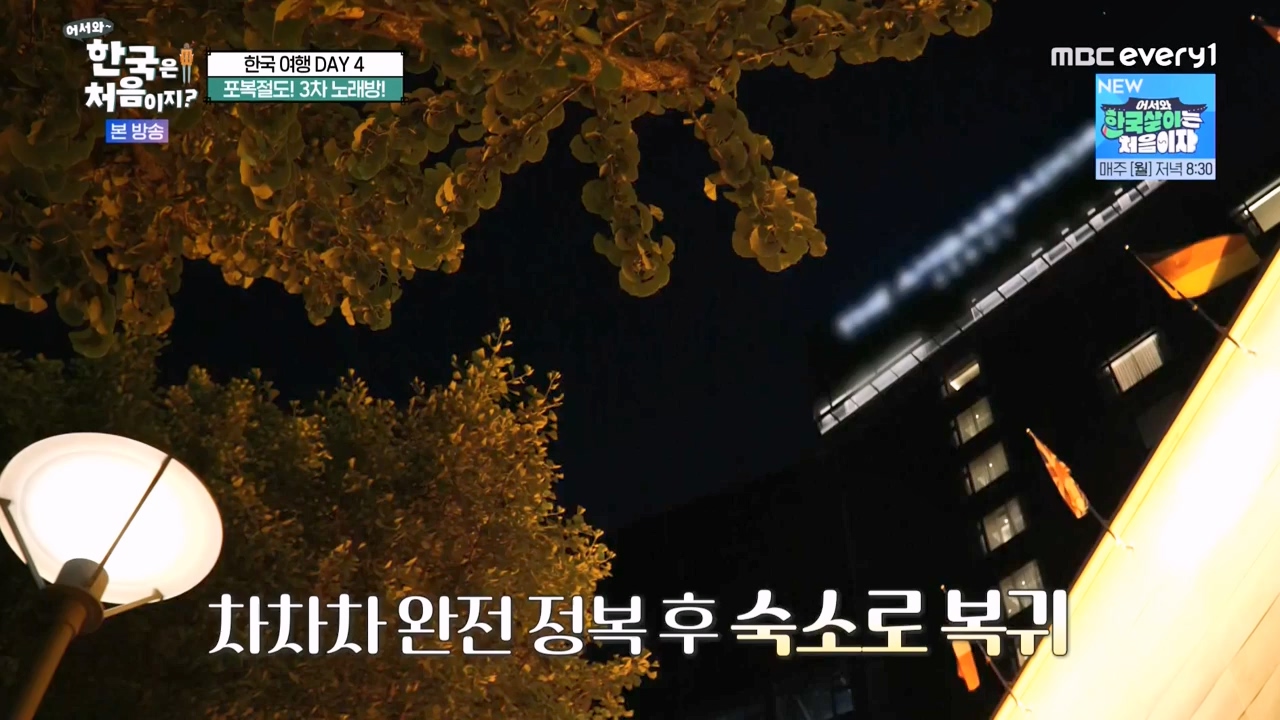 어서와 한국은 처음이지 시즌2.E276.230818p-NEXT.mp4_20230818_210114.385.jpg