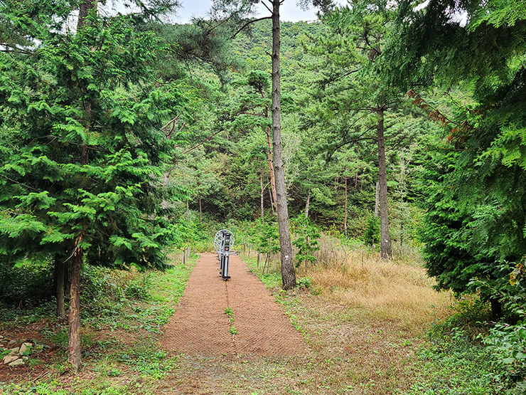 충남 걷기 좋은 숲길 국내여행 걷기 좋은 길, 43