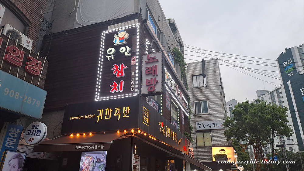유안참치 이미지