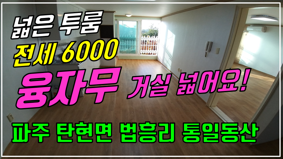  파주 탄현면 법흥리 투룸 통일동산 투룸 전세 6000만 풀옵션 거실 넓고 전망좋은 햇빛 잘드는 넓은 투룸