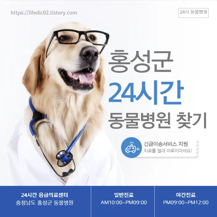  홍성군 24시간 동물병원 찾기 근처 야간 일요일 고양이 병원 23곳