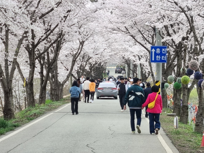 산책로