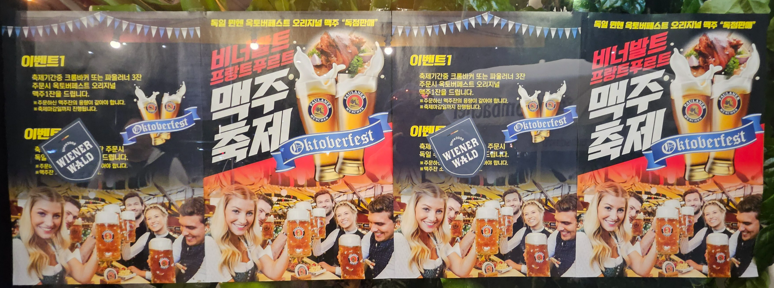 비너발트 이미지