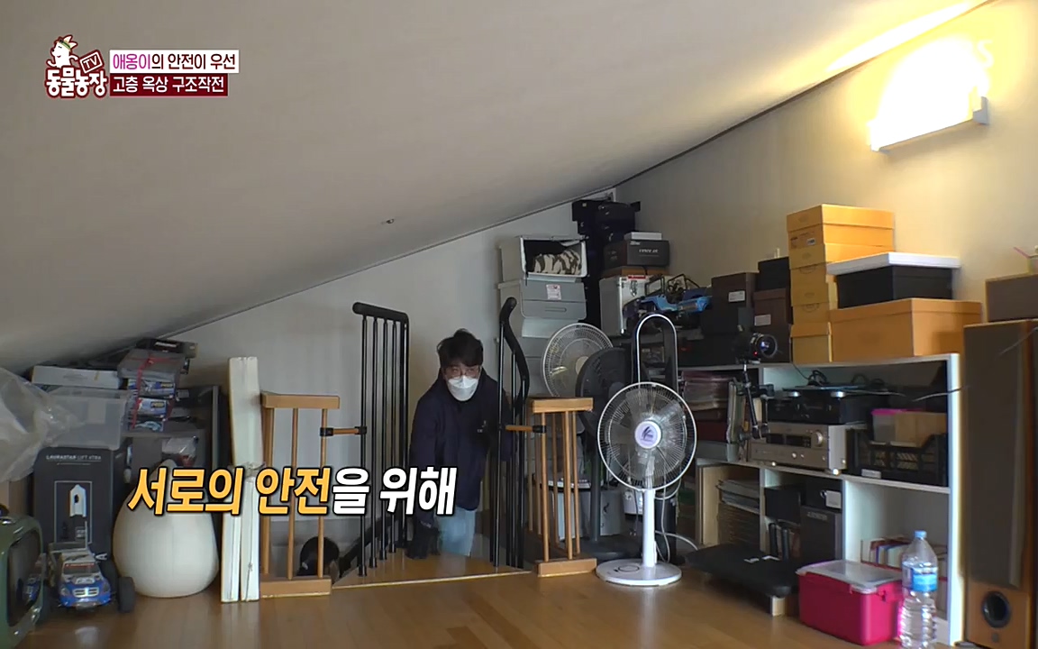 TV 동물농장.E1070.220523p-NEXT.mp4_20220522_182025.339.jpg