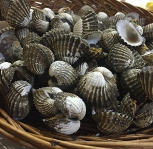  꼬막삶는법, 꼬막무침 요리초보를 위한 레시피 꼭! 이렇게 해보세요