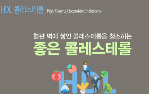 콜레스테롤의 종류