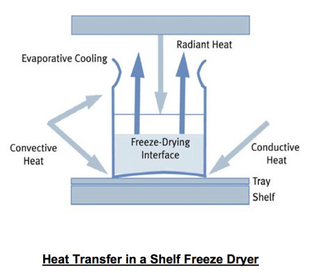  냉동건조(freeze drying)