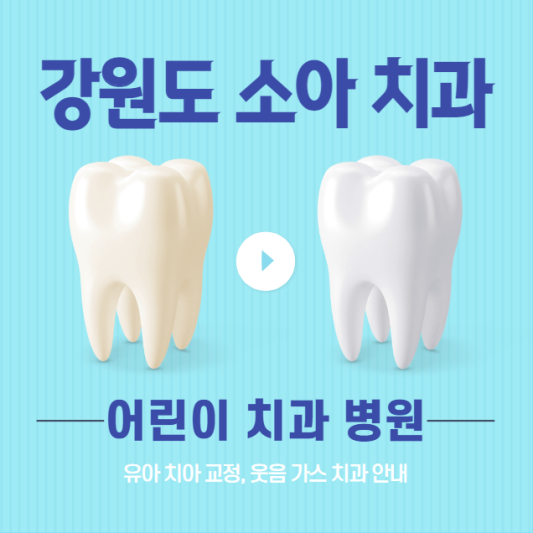  강원도 소아치과의원 찾기 | 유아 키즈 어린이 치과 병원 7곳