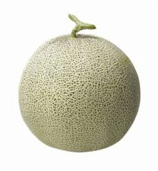 멜론 이미지