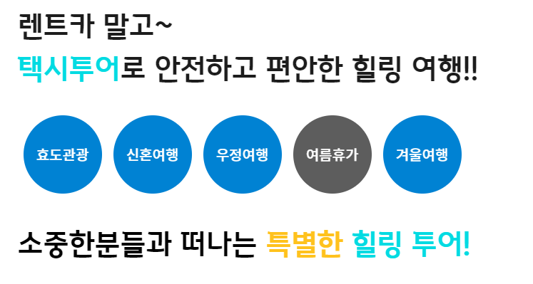 울릉도택시투어