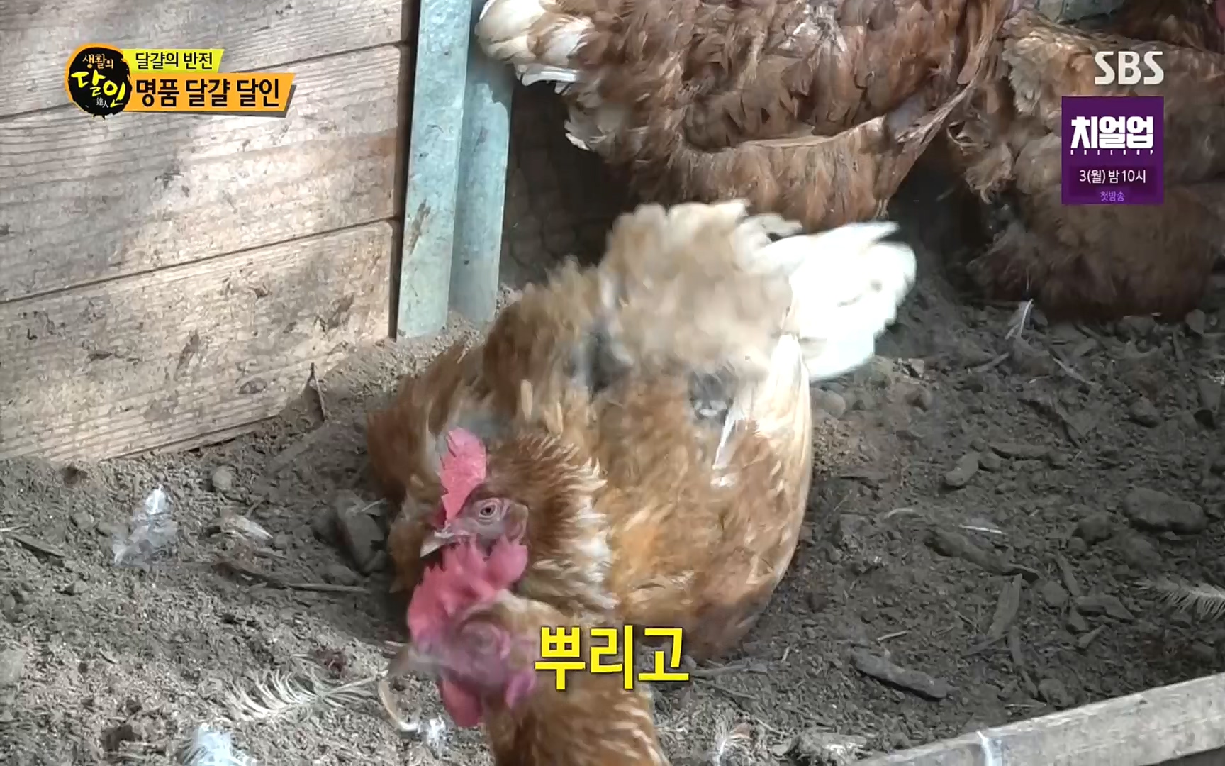 생활의 달인.E860.220926p.H264-F1RST.mp4_20220927_201423.960.jpg