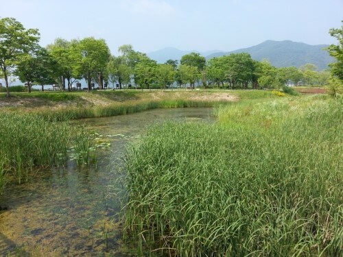 다산 생태공원