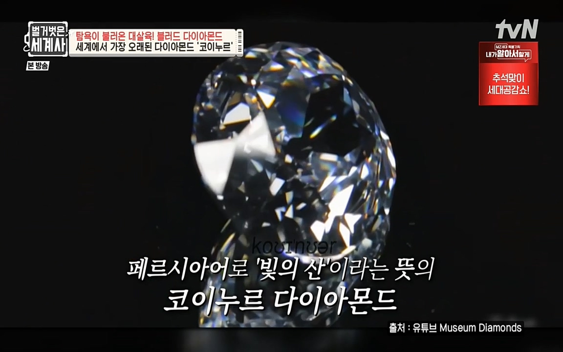 벌거벗은 세계사.E62.220831p-NEXT.mp4_20220905_195700.148.jpg