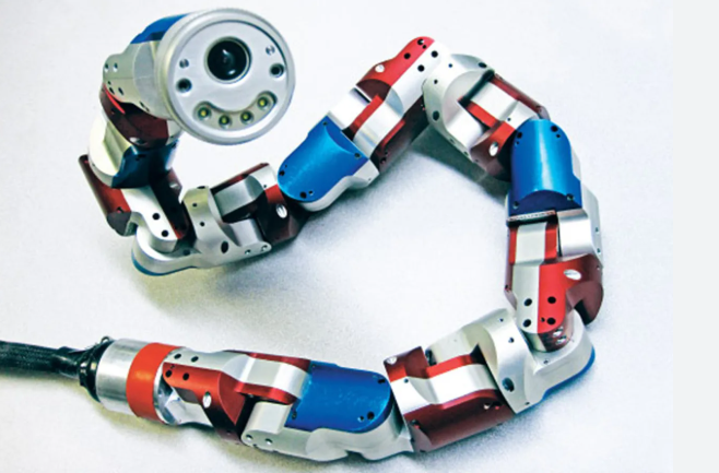 뱀의 유연한 움직임을 모방한 탐사 로봇 – 비정형 지형에서의 활용 가능성