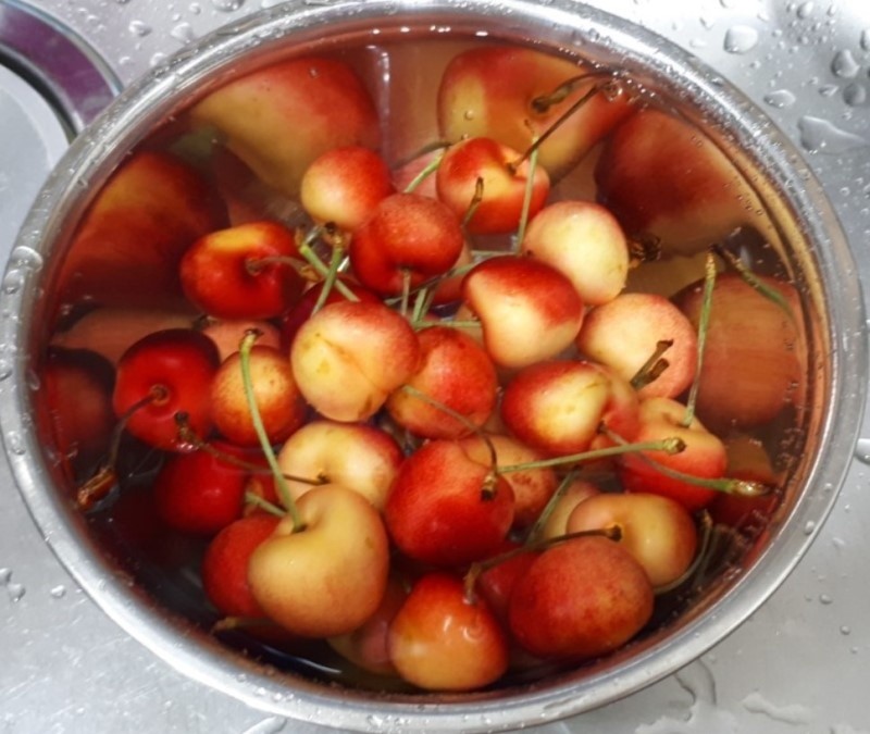 천일래 체리 세척 및 따는 방법 세척한 천일래 체리 사진