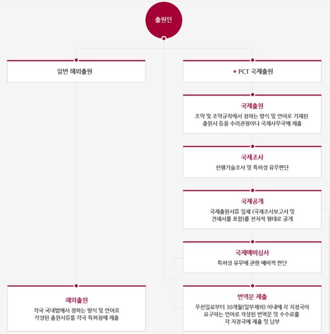  PCT 국제 특허 출원과 속지주의