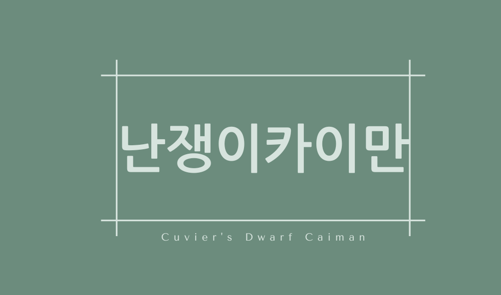 난쟁이카이만(Cuvier's Dwarf Caiman)