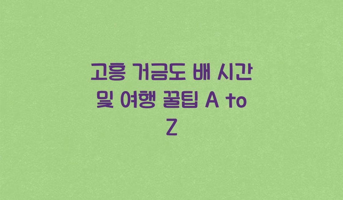 고흥 거금도 배 시간