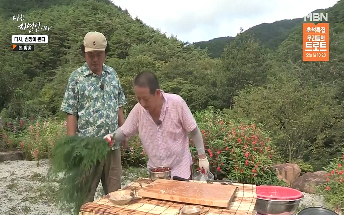 나는 자연인이다.E519.220915p-NEXT.mp4_20220915_201140.048.jpg